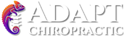 Chiropractic Rockford MI Adapt Chiropractic Header Logo